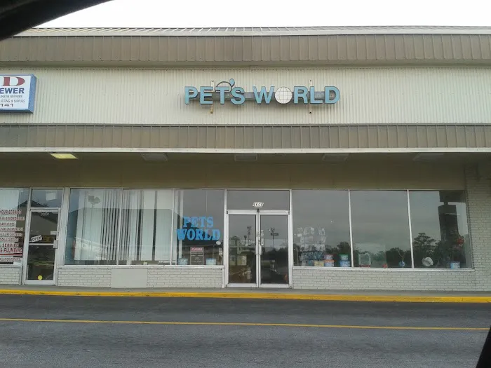 Pet's World Picture 3
