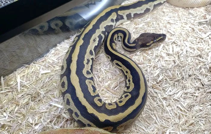 Pet's World Picture 6