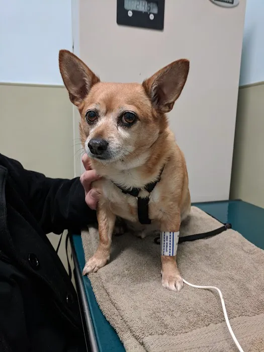 Riverside Veterinary Care on Columbus Picture 1