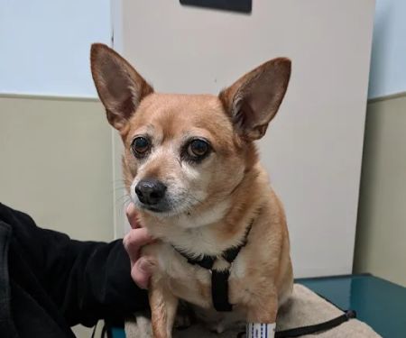 Riverside Veterinary Care on Columbus