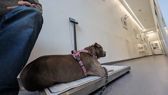 Riverside Veterinary Care on Columbus Picture 6