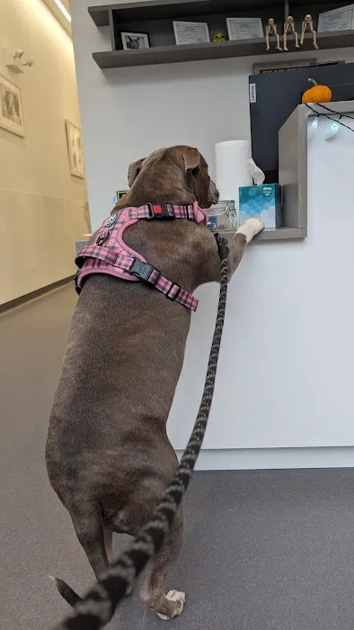 Riverside Veterinary Care on Columbus Picture 3