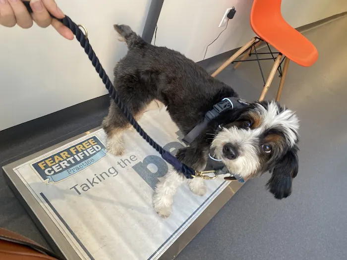 Riverside Veterinary Care on Columbus Picture 8