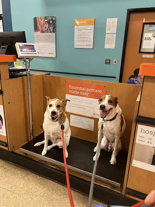 Banfield Pet Hospital Picture 3