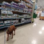 Banfield Pet Hospital