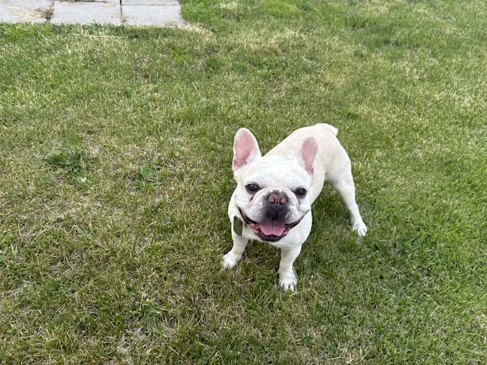 Banfield Pet Hospital Picture 10