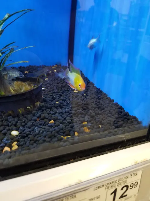Petco Picture 8