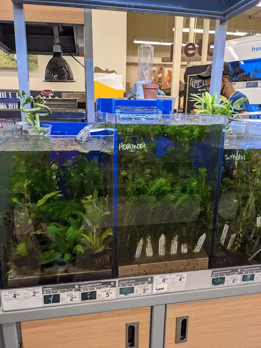 Petco Picture 9