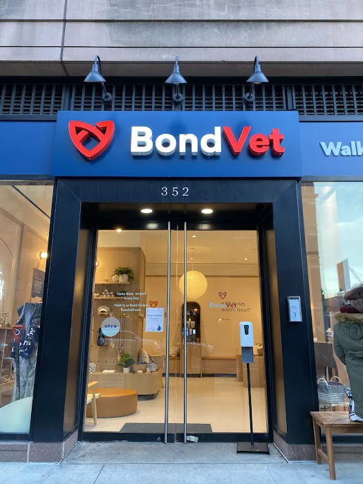 Bond Vet - Upper West Side at 77th Street Picture 8