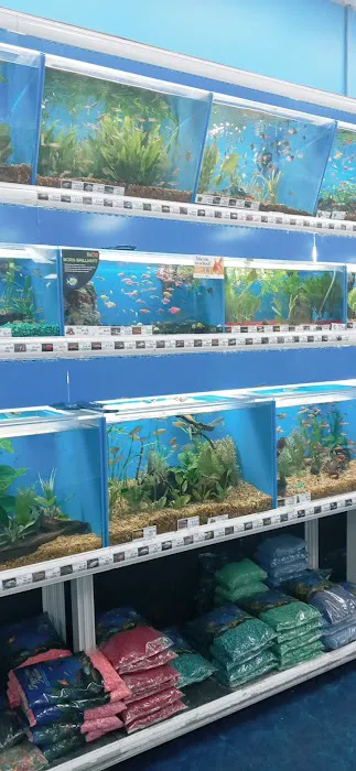 Pet Supermarket Picture 4