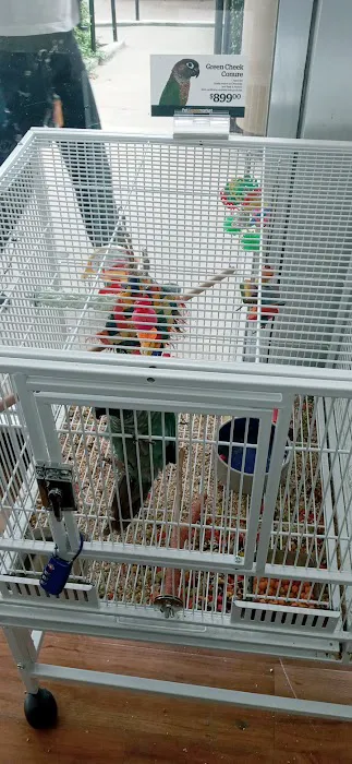 Pet Supermarket Picture 7