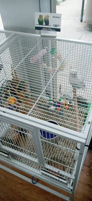 Pet Supermarket Picture 6