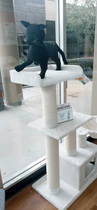 Pet Supermarket Picture 5