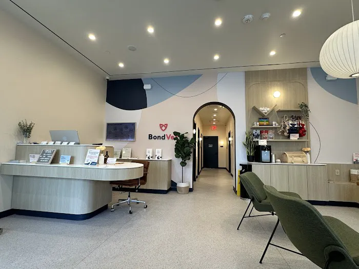 Bond Vet - Rye Brook Picture 4