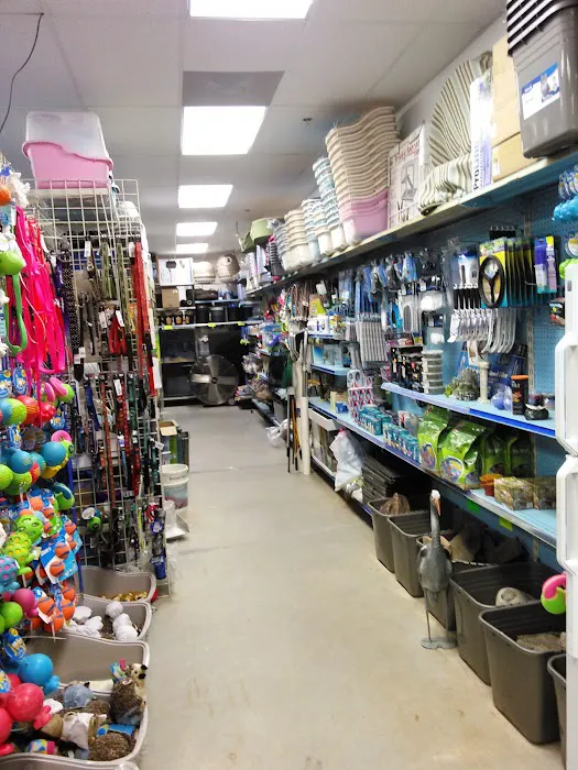 Furry Feet and feathers llc Picture 10