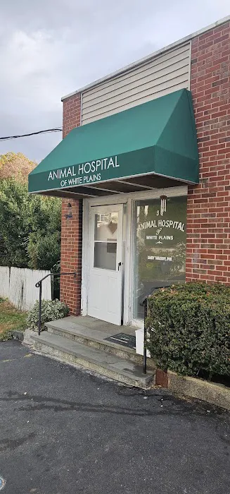 Animal Hospital of White Plains Picture 8
