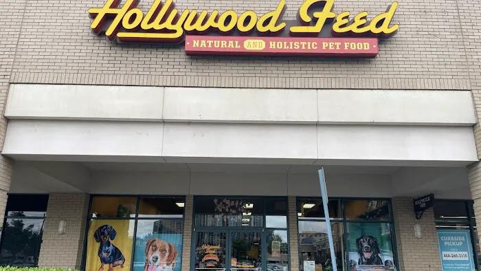 Hollywood Feed Picture 2