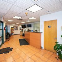 Hartsdale Veterinary Hospital ico