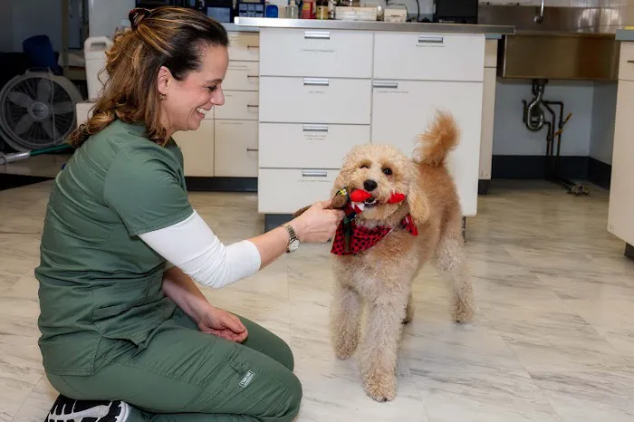 Hartsdale Veterinary Hospital Picture 3