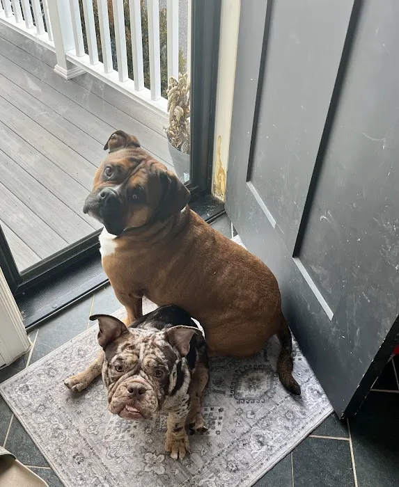 Hartsdale Veterinary Hospital Picture 8