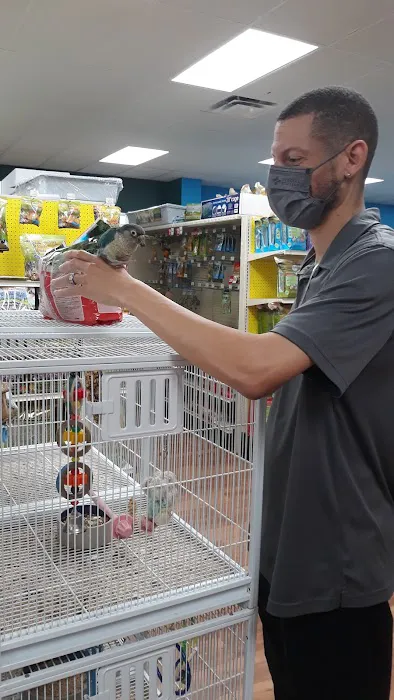 Pet Supermarket Picture 1