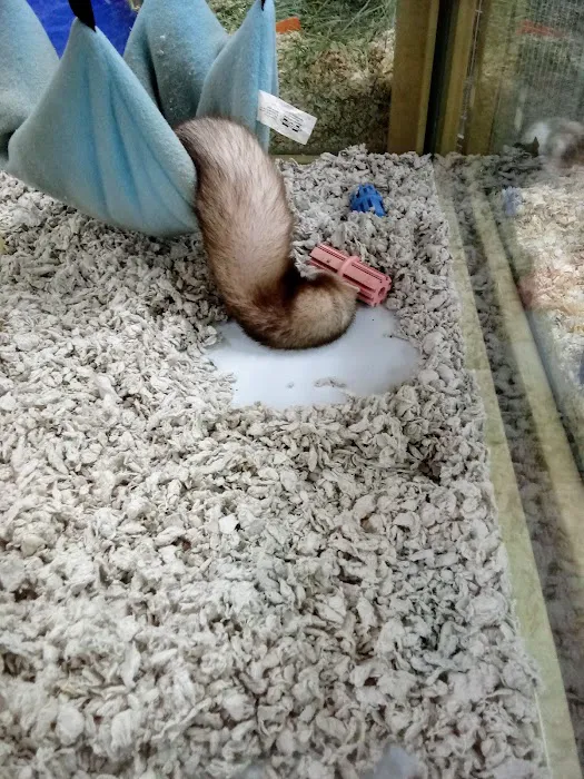 Pet Supermarket Picture 2