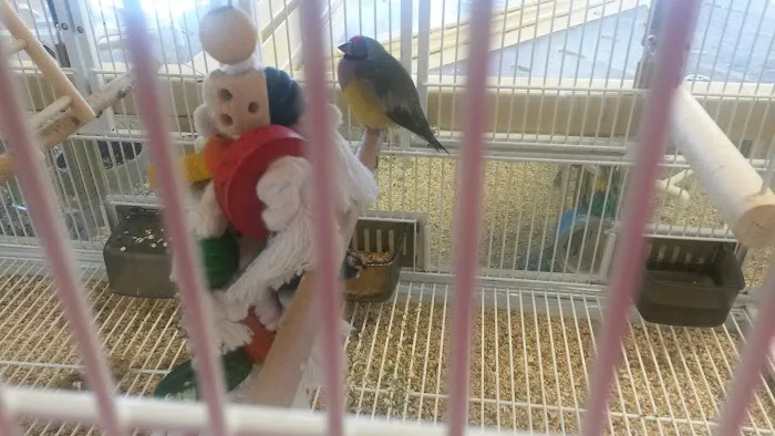 Pet Supermarket Picture 10