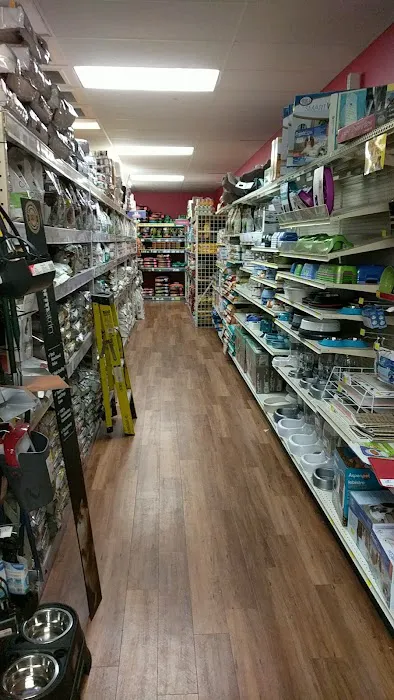 Pet Supermarket Picture 9