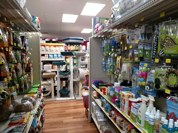 Pet Supermarket Picture 8