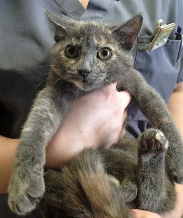Bond Animal Hospital Picture 8