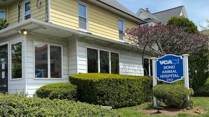 Bond Animal Hospital Picture 1