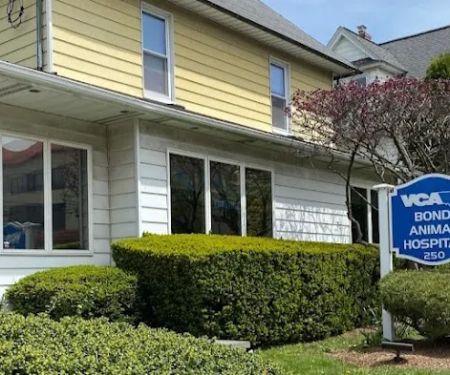 Bond Animal Hospital