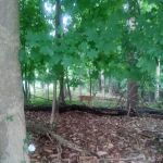 Closter Animal Hospital