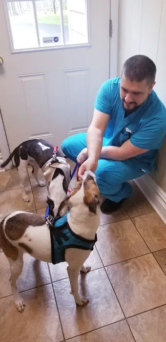 Closter Animal Hospital Picture 5