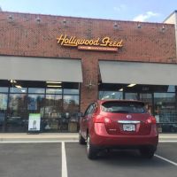 Hollywood Feed ico