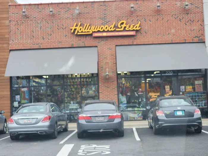 Hollywood Feed Picture 6