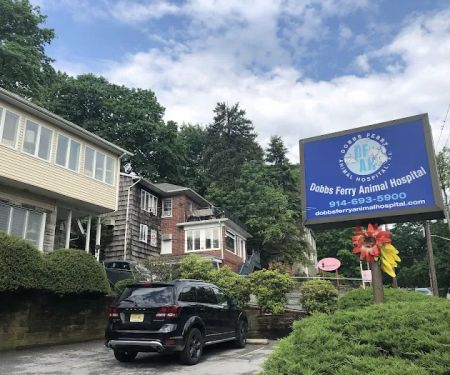 Dobbs Ferry Animal Hospital