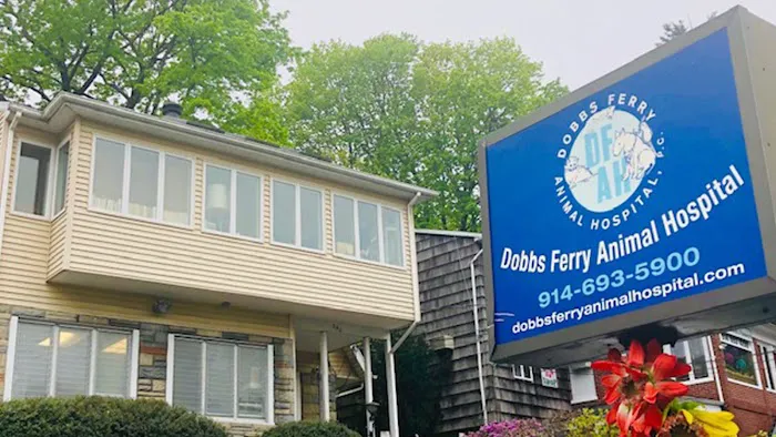 Dobbs Ferry Animal Hospital Picture 8