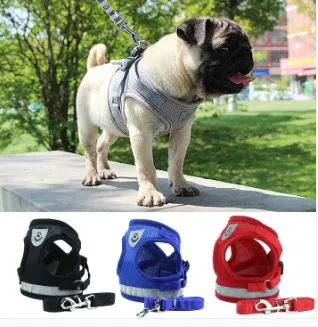 AtPetShops Picture 3