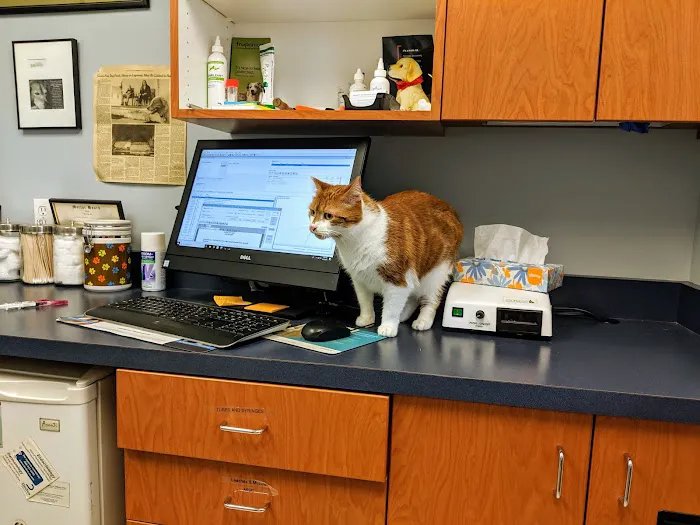 Ardsley Veterinary Associates Picture 3