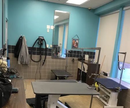Petco