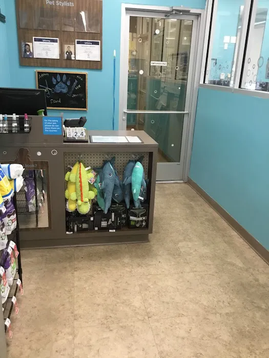 Petco Picture 2
