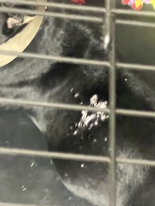 Petco Picture 9