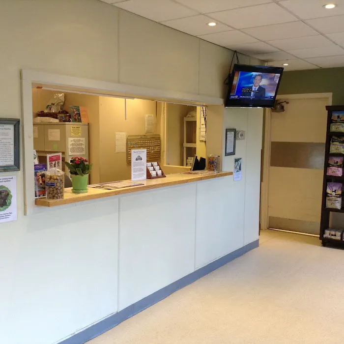 Greenwich Animal Hospital Picture 8
