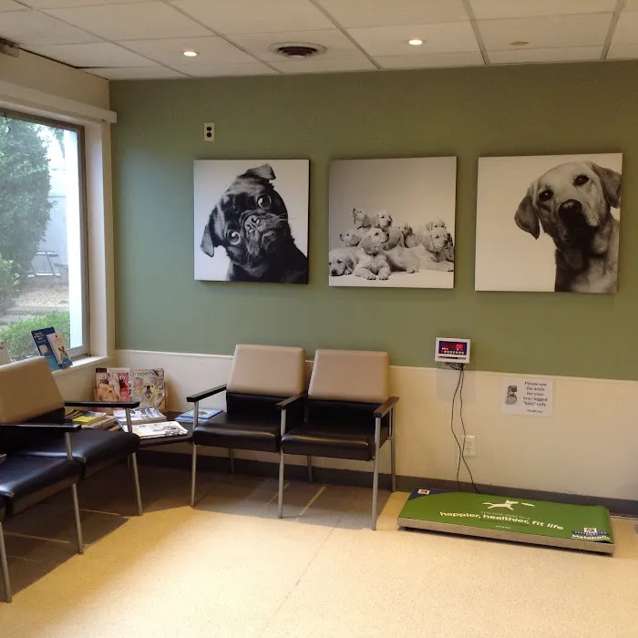 Greenwich Animal Hospital Picture 10