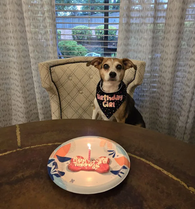 Barking Dog Bakery and Feed Picture 7