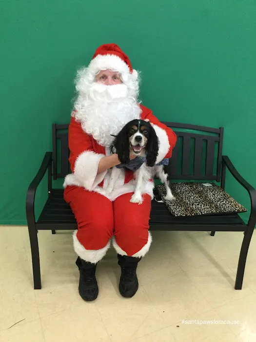 Petco Picture 2