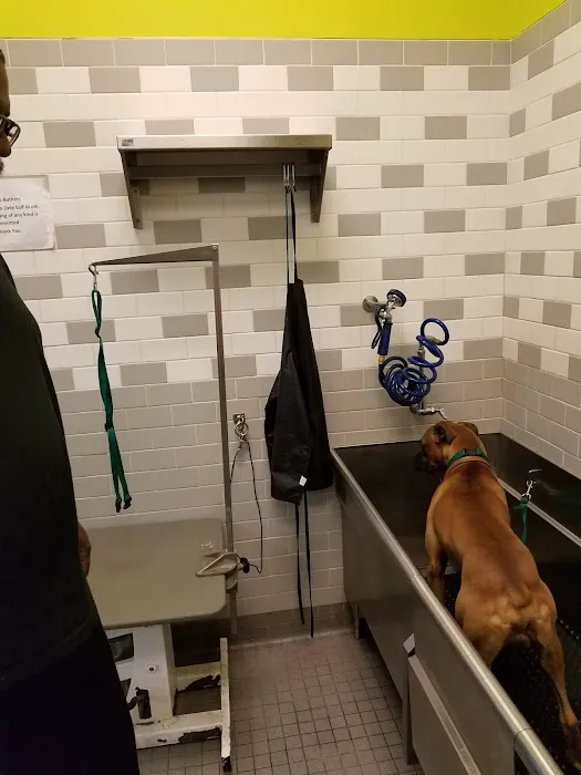 Petco Picture 1