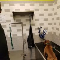 Petco ico