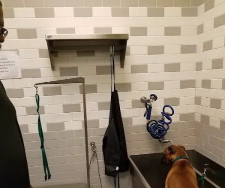 Petco